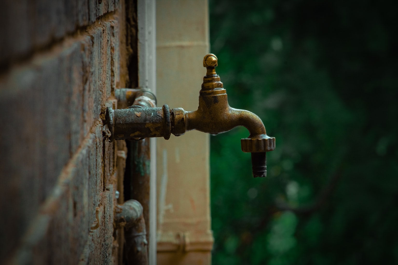 Long Beach Plumbing Experts