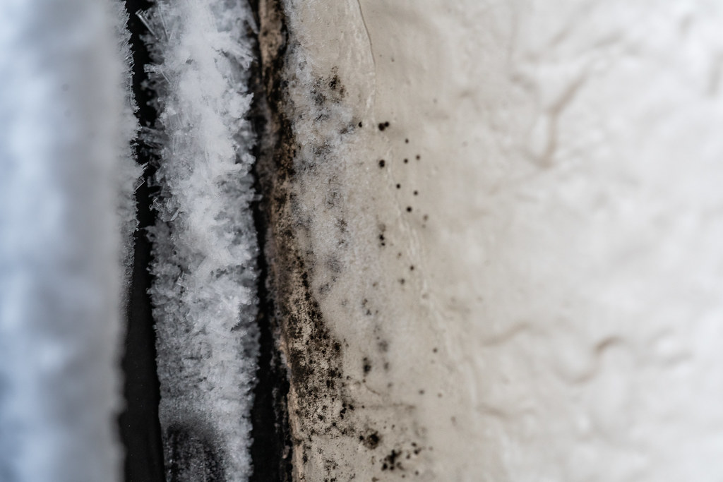 Long Beach Water Damage Experts Log Beach Plumbers