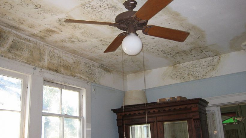 Mold and Mildew Long Beach Water Damage Company