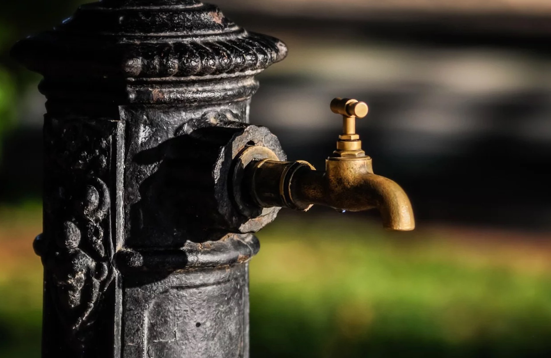 ong Beach Plumbing Company