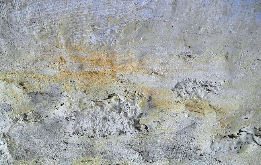 Mold Remediation Company Long Beach CA