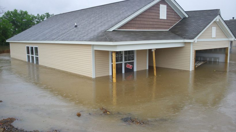 Great Ways To Identify Mold After A Flood