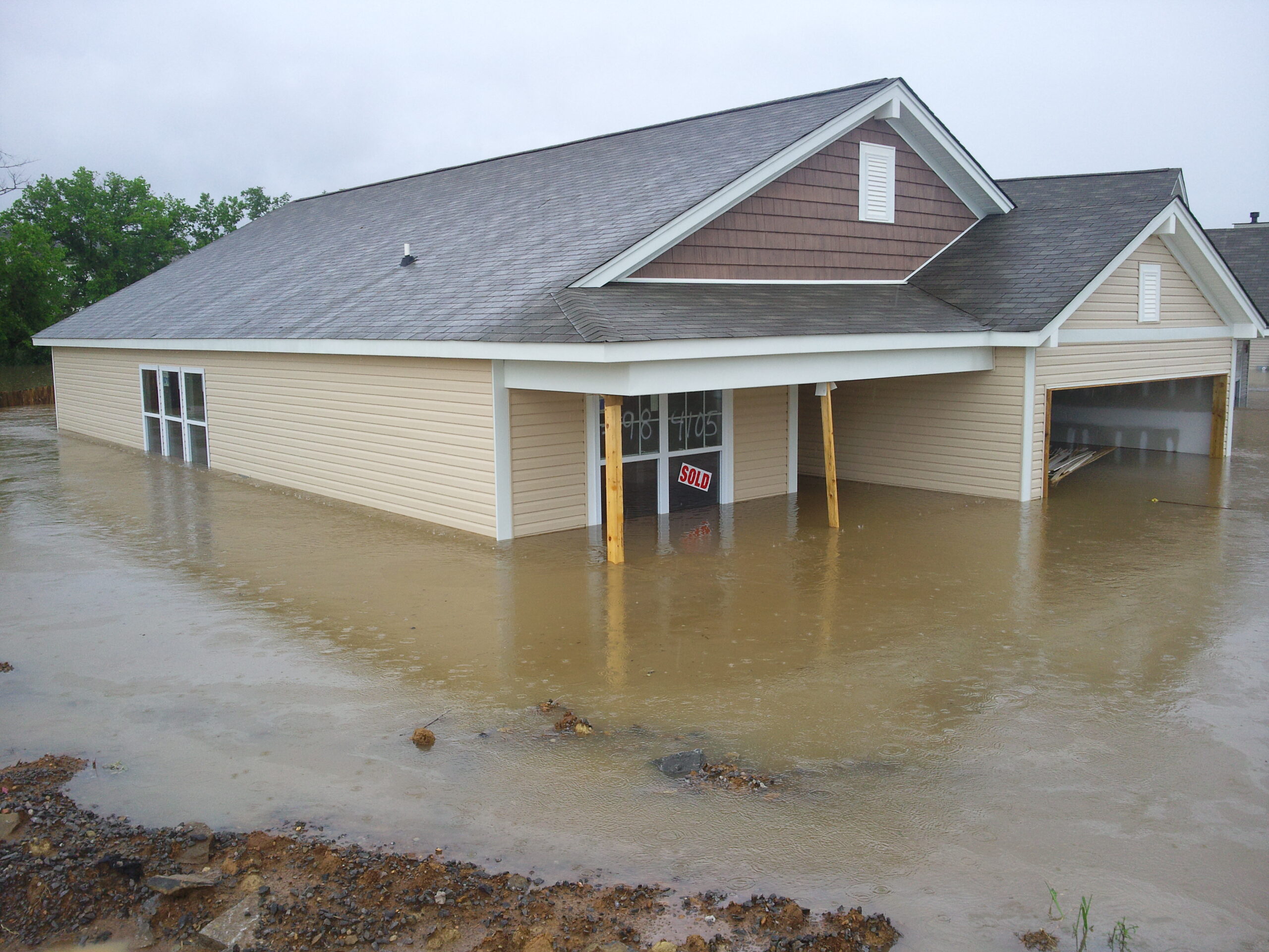 Great Ways To Identify Mold After A Flood