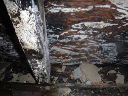 water damage long beach ca