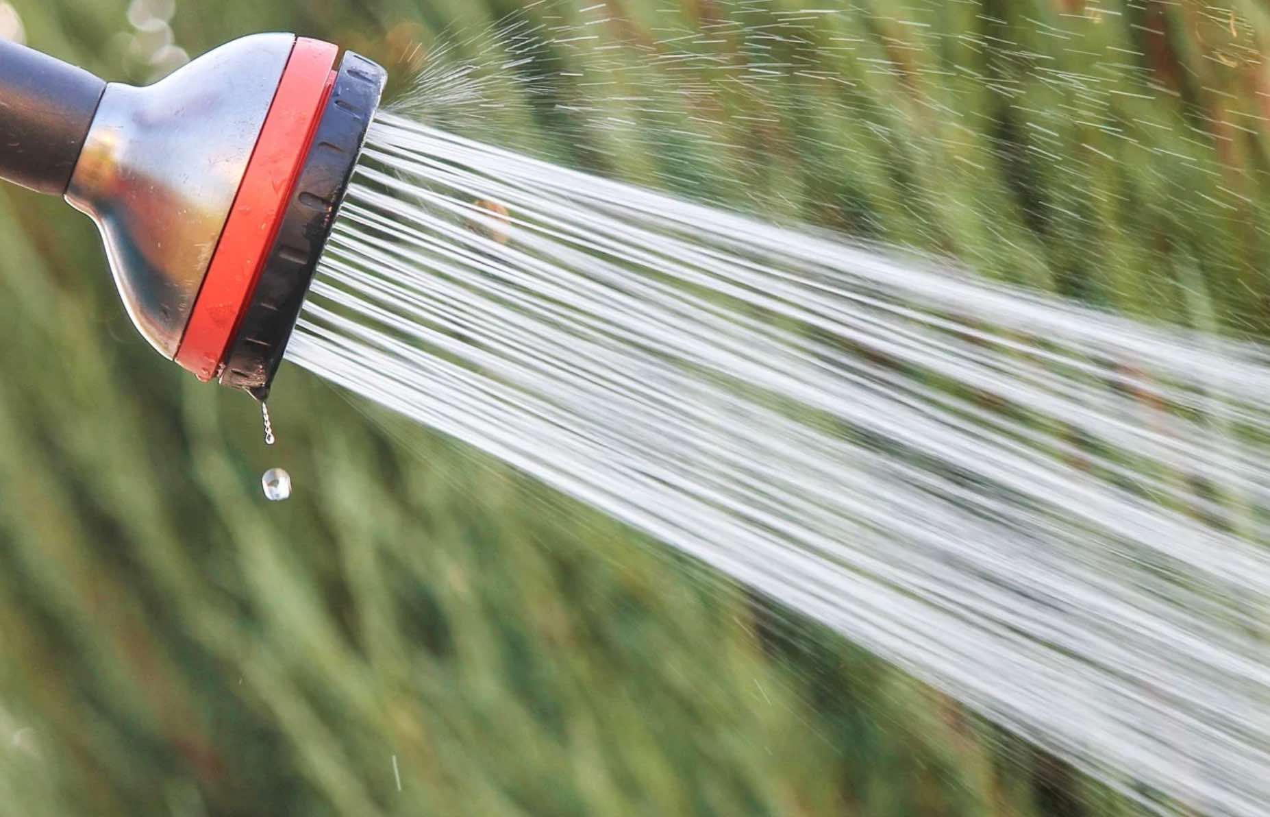 Showerhead Plumbing Company Long Beach CA