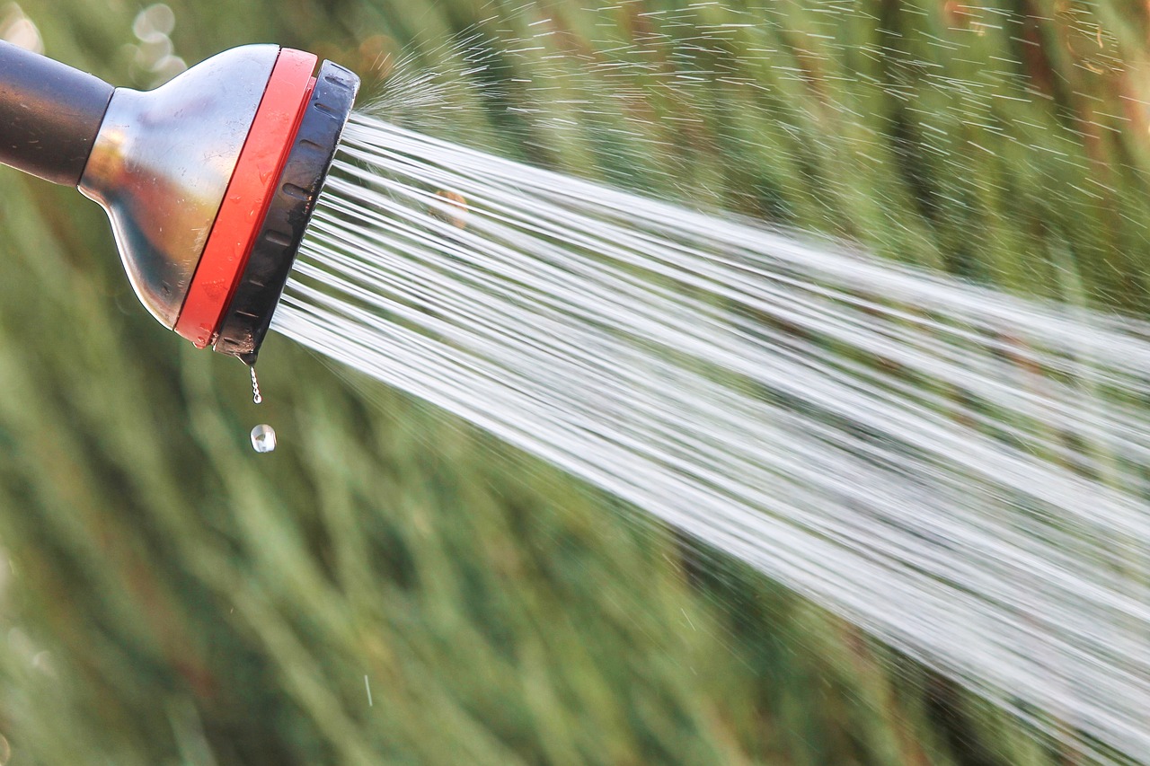 Spring Cleaning Plumbing Tips Long Beach Plumbers