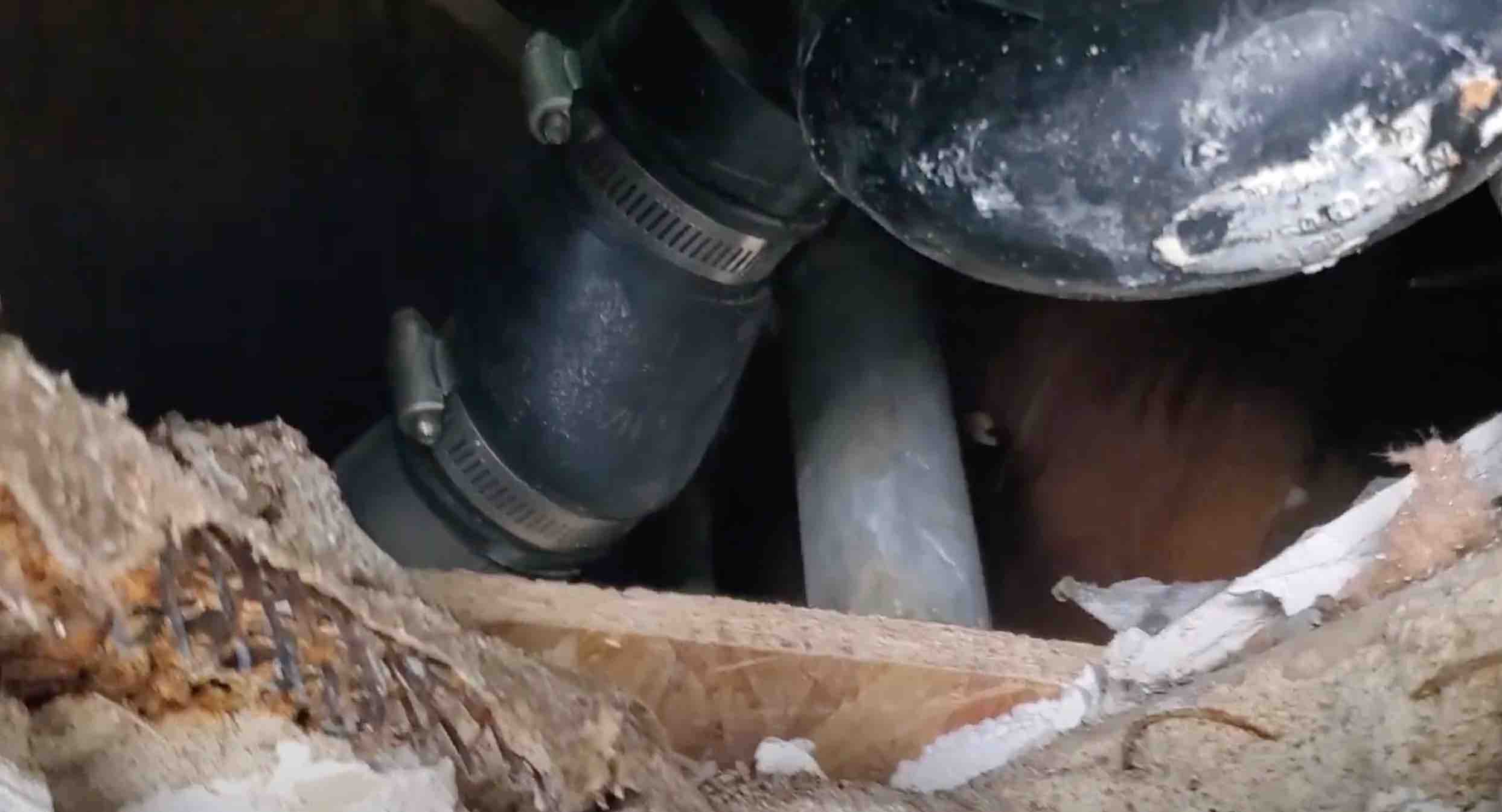 Long Beach Plumber | Emergency Plumbing